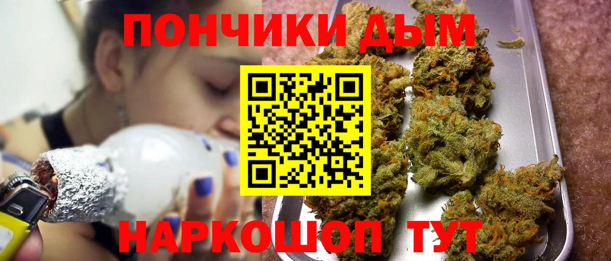 Шишки марихуана сатива Тайшет